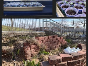 2023 green school app final (3)